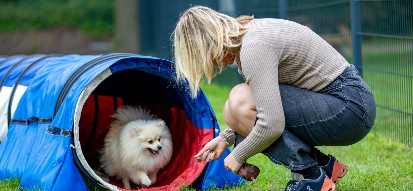 Ontwerp zonder titel (12).png