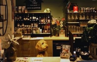 Hond receptie 310x200.jpg