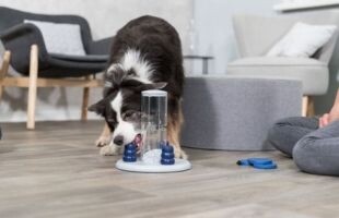 Spelletjesbibliotheek 310x200.jpg