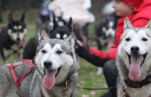 Ontwerp zonder titel (3).jpg