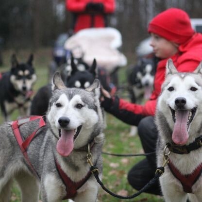 Ontwerp zonder titel (3).jpg