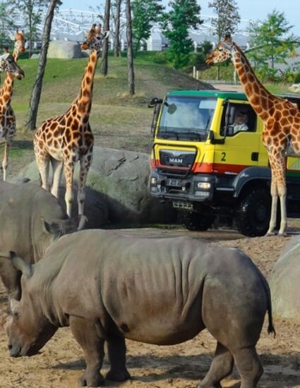 Ontwerp zonder titel.jpg