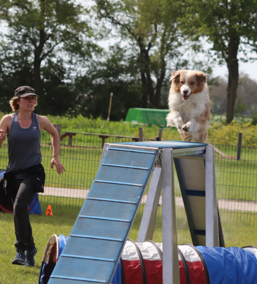 Ontwerp zonder titel.png