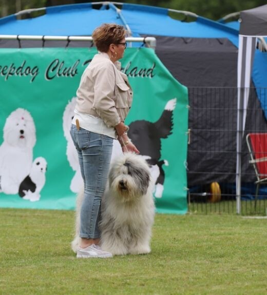 Ontwerp zonder titel (4).jpg