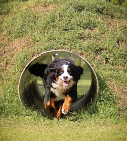 Fotowedstrijd - winnaar 2025.jpg